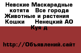 Невские Маскарадные котята - Все города Животные и растения » Кошки   . Ненецкий АО,Куя д.